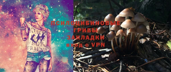 эйфоретик Дмитровск